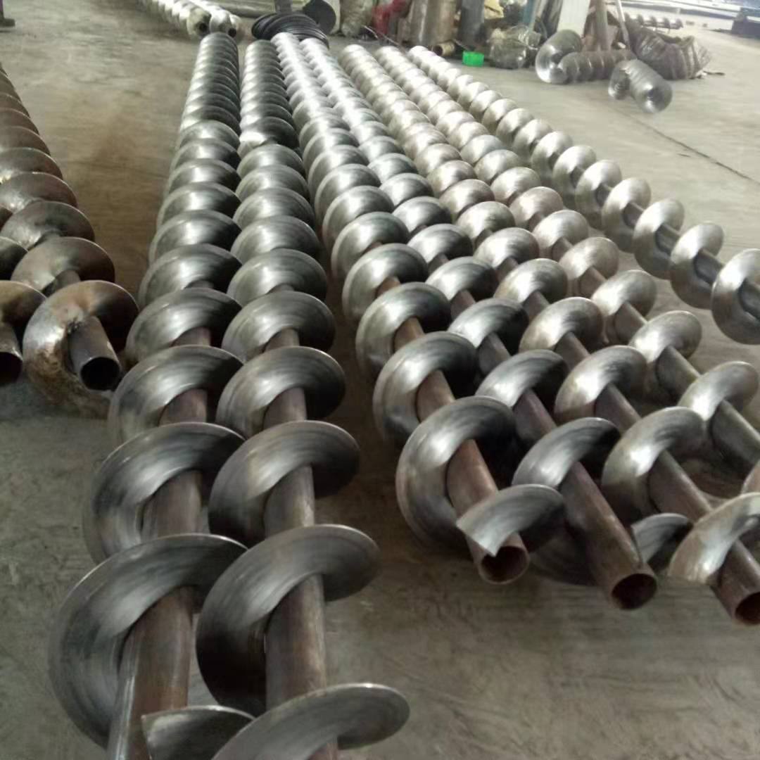 ��������ҶƬ